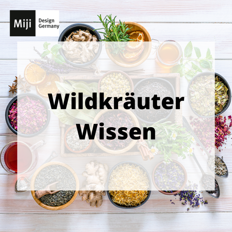 wildkräuter kochen mit induktion